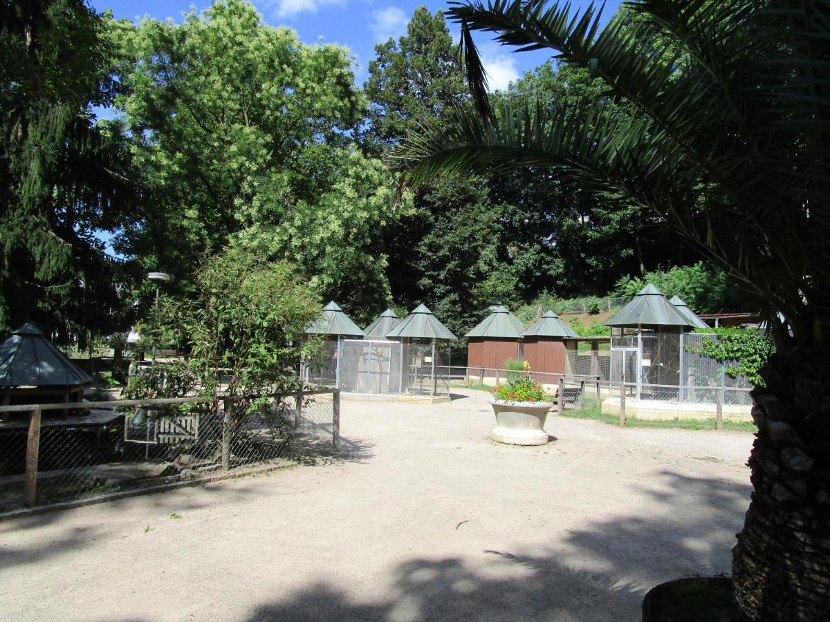 Villa Am Rosenfelspark เลอร์ราค ภายนอก รูปภาพ